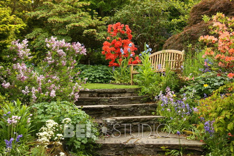 Branklyn Garden.  Шотландия. Перт