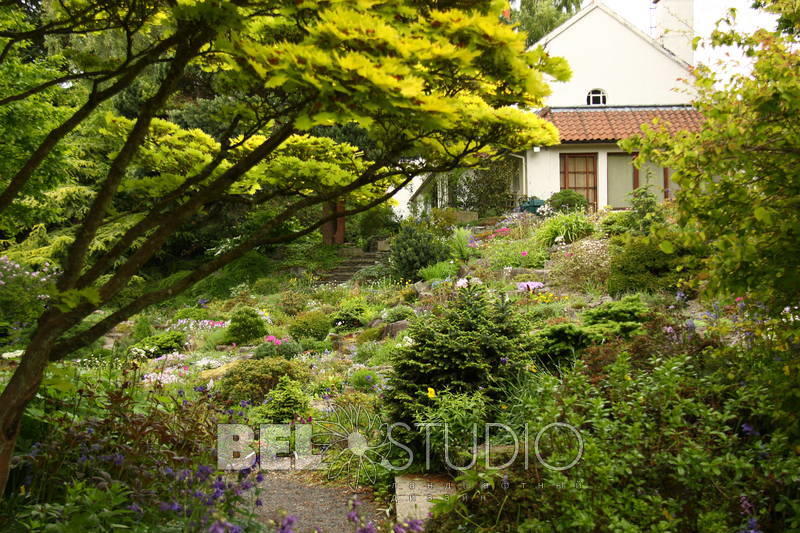 Branklyn Garden.  Шотландия. Перт