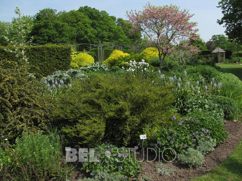 Merriments Gardens. Англия