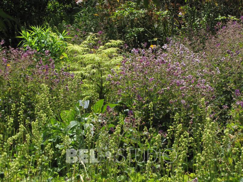 Merriments Gardens. Англия