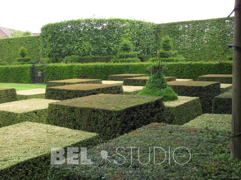 Topiary. Бельгия