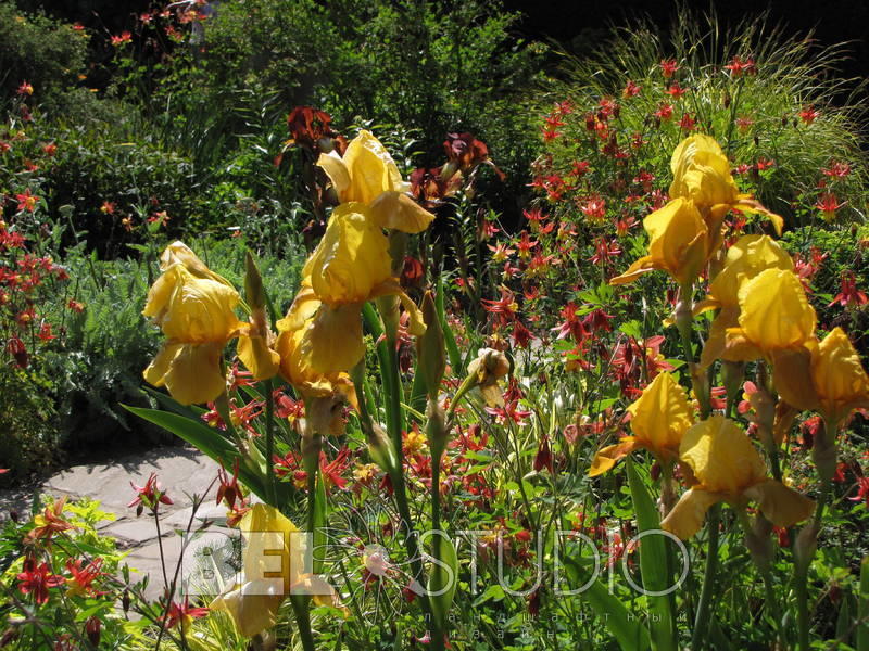 Sissinghurst Castle Garden. Англия