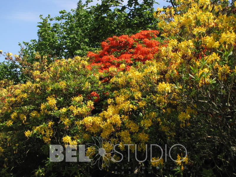 Sissinghurst Castle Garden. Англия