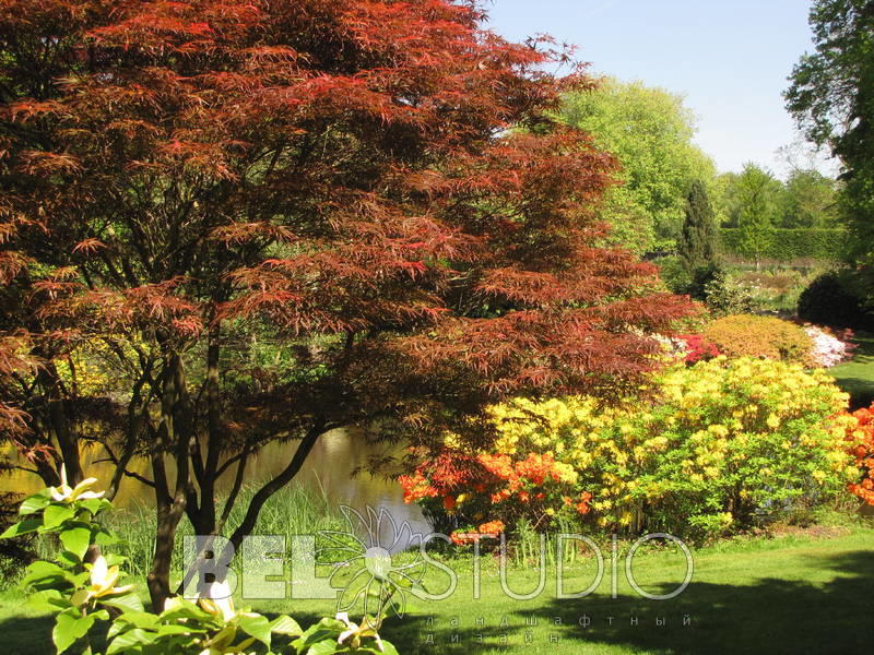 Savill Garden.Англия