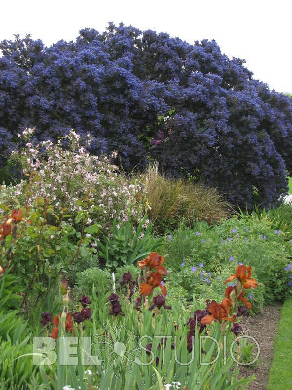  Hyde Hall RHS Garden