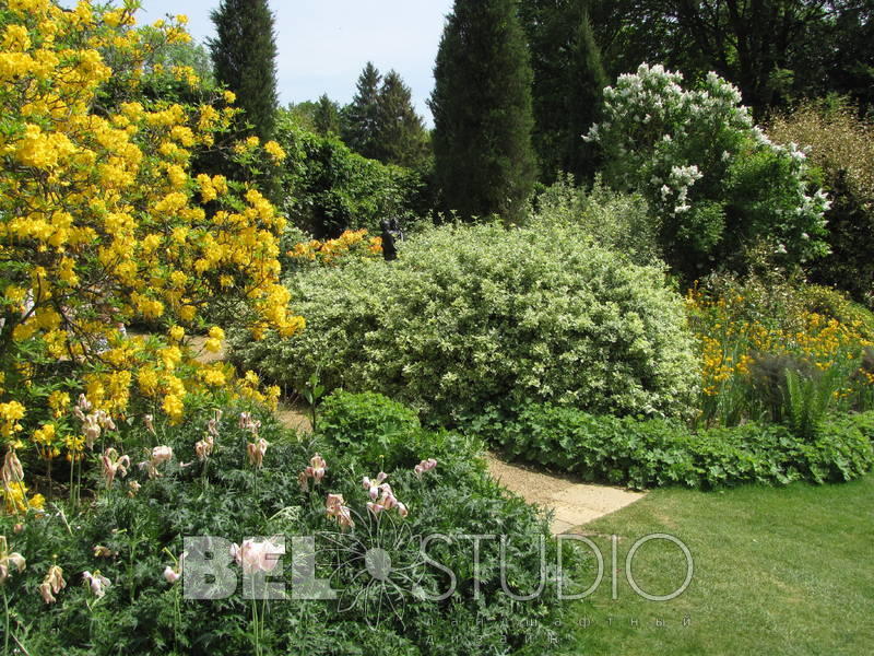 Pashley Manor Gardens