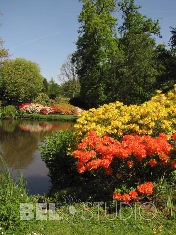 Savill Garden.Англия