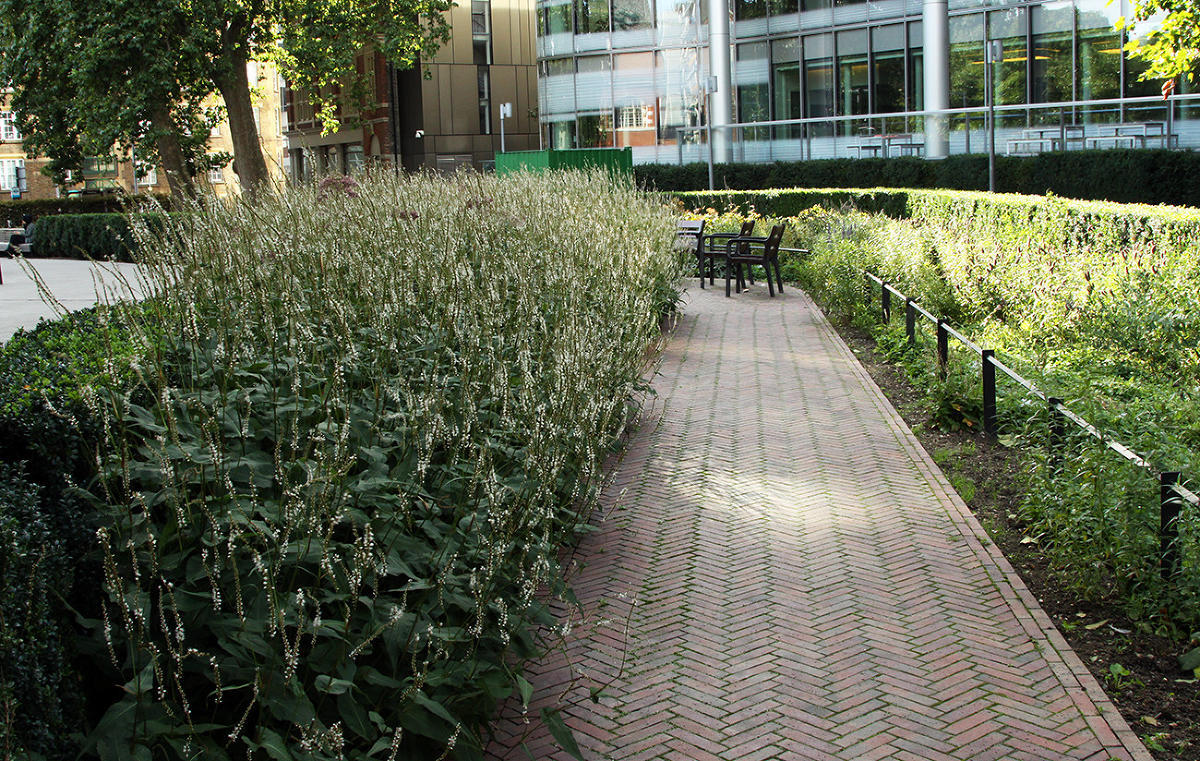 Пит Удольф, Potters Fields Park, Лондон, Англия