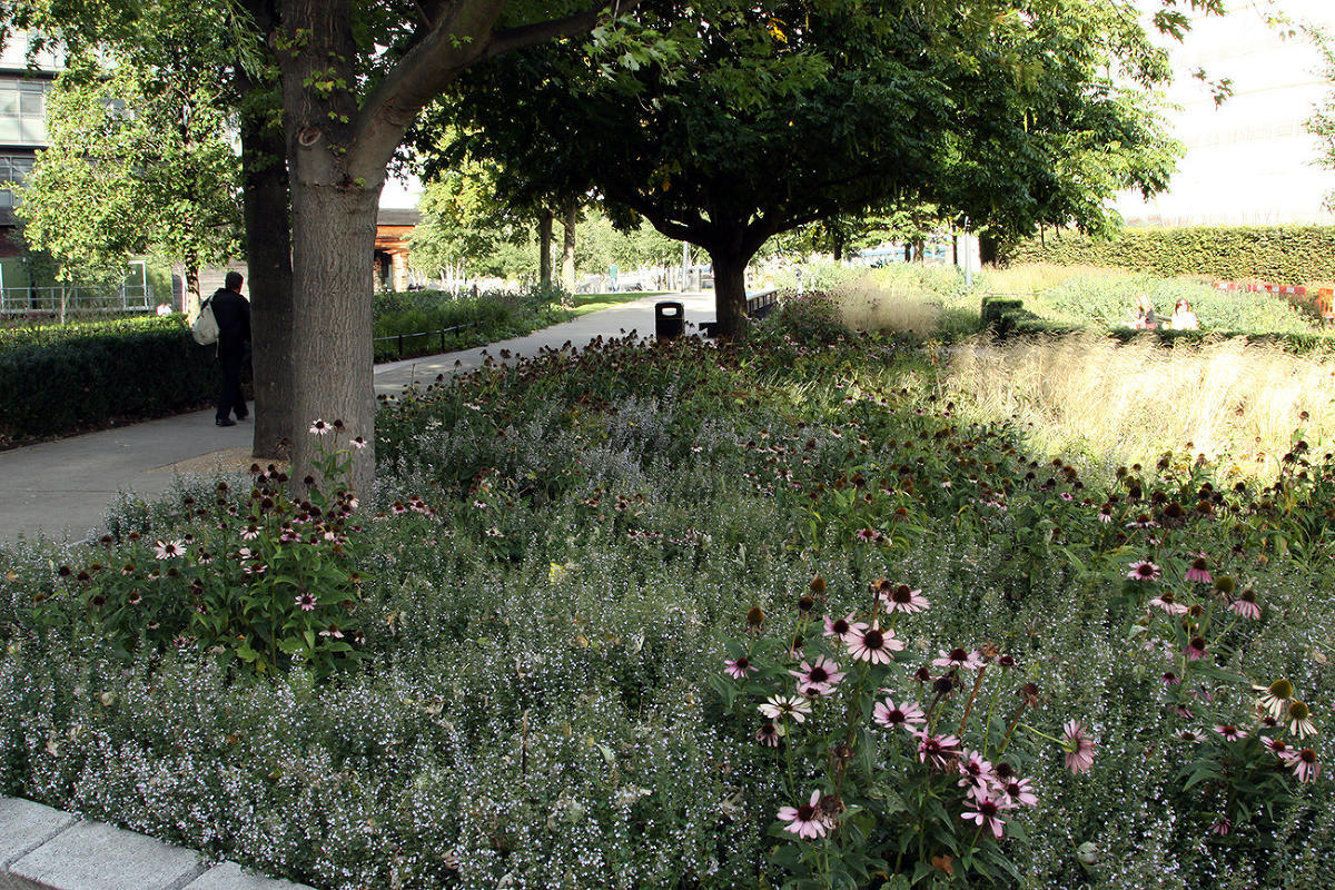 Пит Удольф, Potters Fields Park, Лондон, Англия