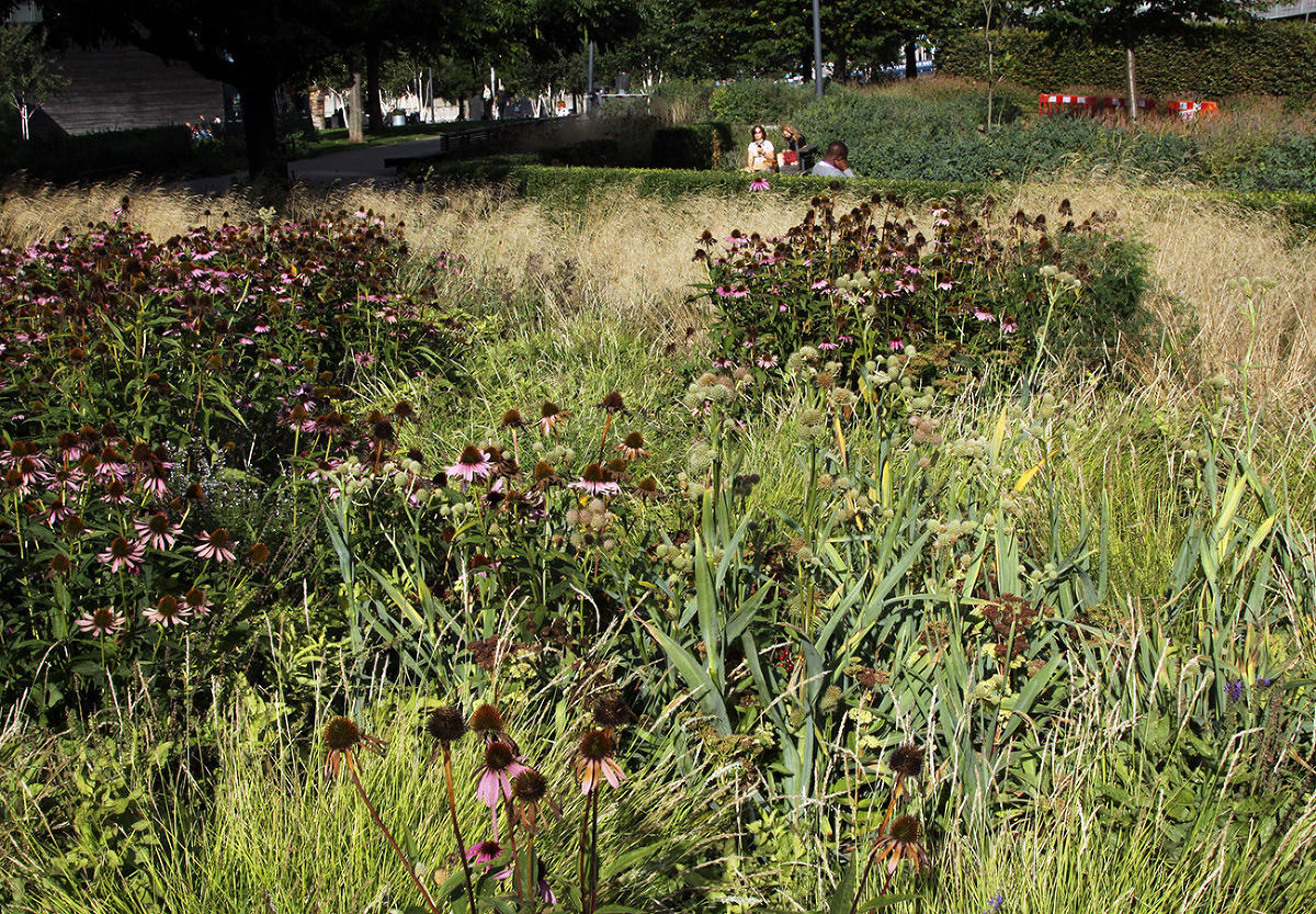 Пит Удольф, Potters Fields Park, Лондон, Англия