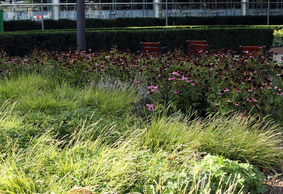 Пит Удольф, Potters Fields Park, Лондон, Англия