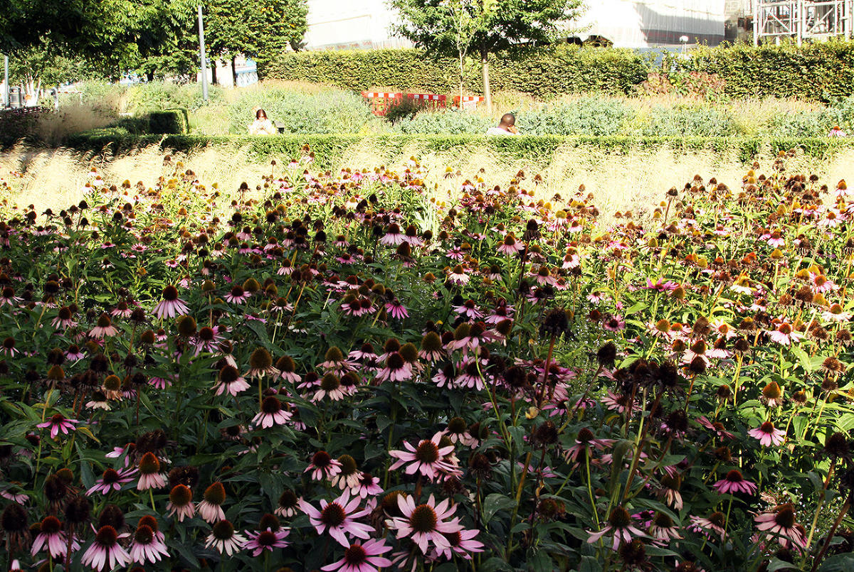 Пит Удольф, Potters Fields Park, Лондон, Англия