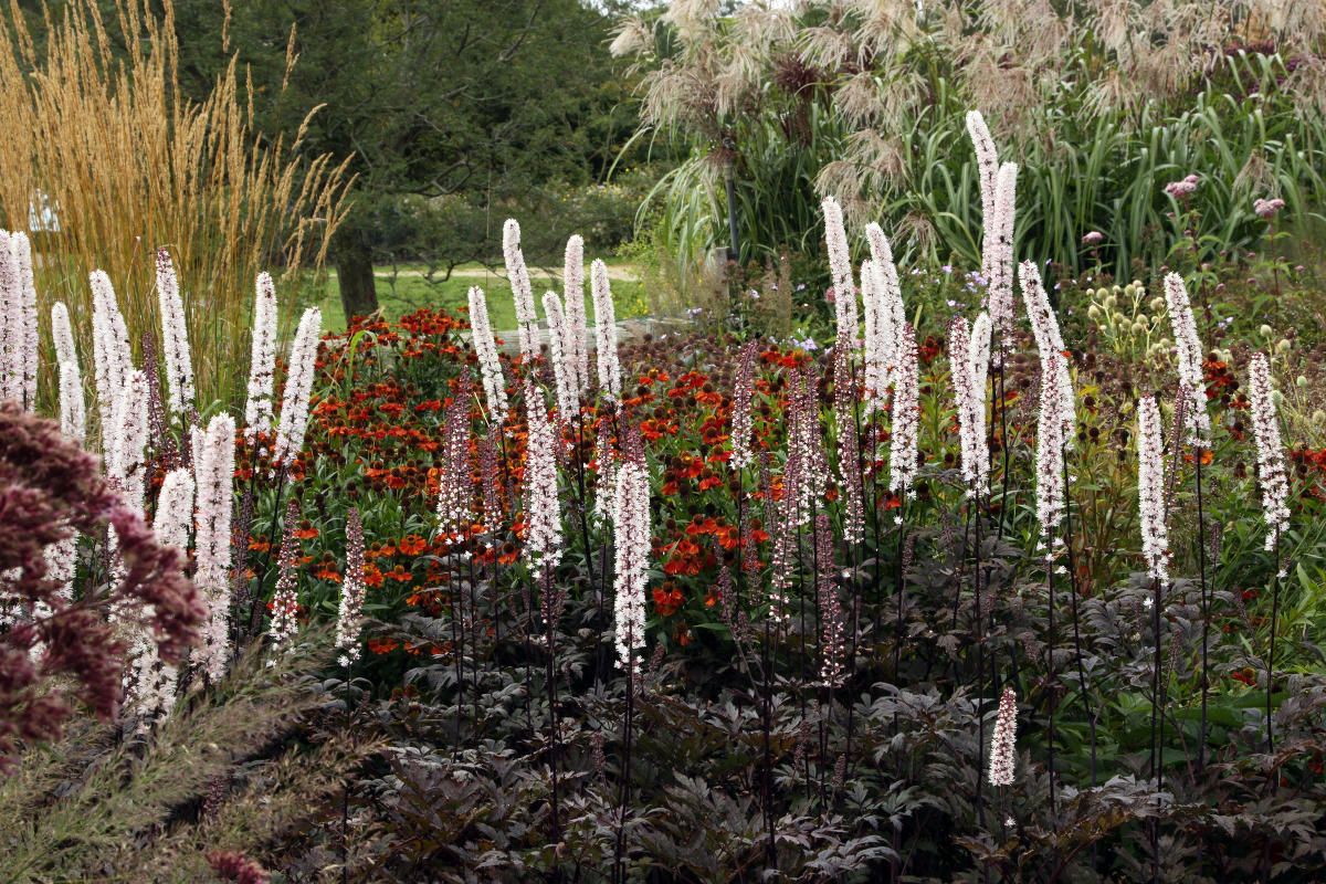 Пит Удольф Pensthorpe Millenium Gardens. Сад Миллениум