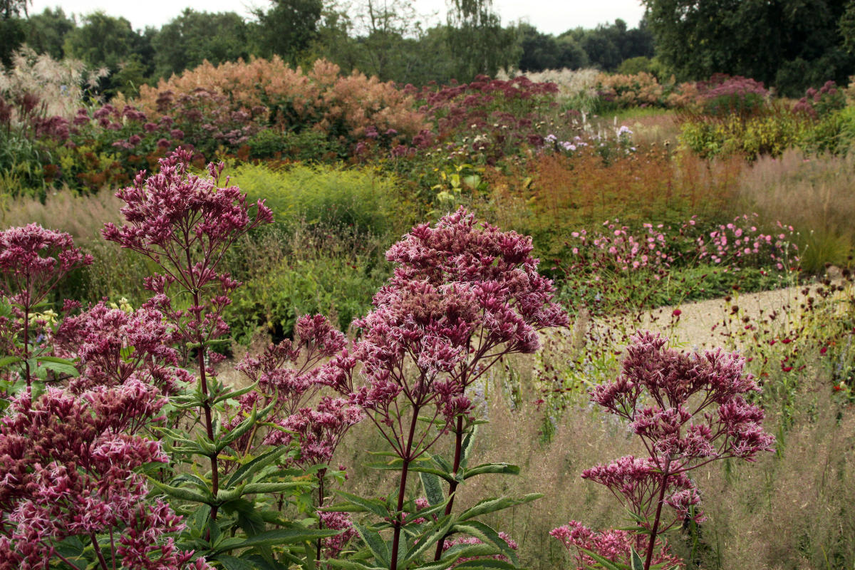 Pensthorpe Millenium Gardens. Сад Миллениум. Дизайнер Пит Удольф