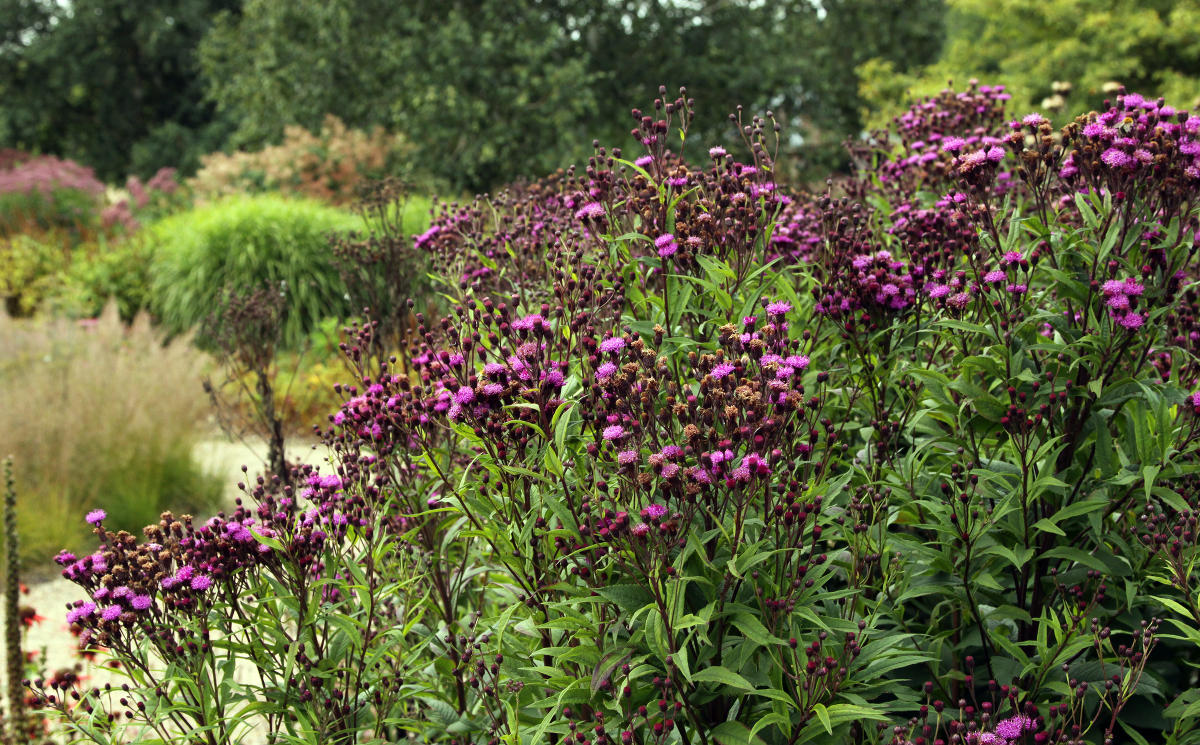 Pensthorpe Millenium Gardens. Сад Миллениум. Дизайнер Пит Удольф