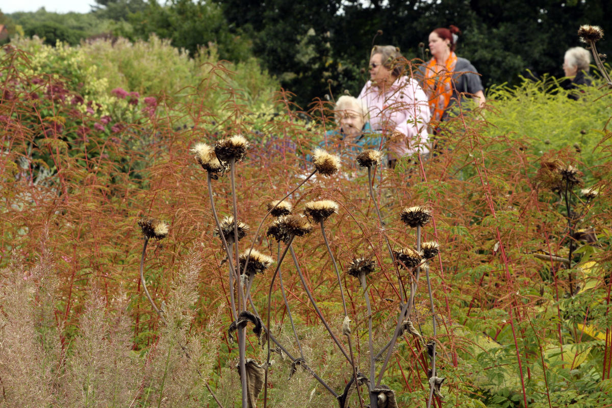 Pensthorpe Millenium Gardens. Сад Миллениум. Дизайнер Пит Удольф