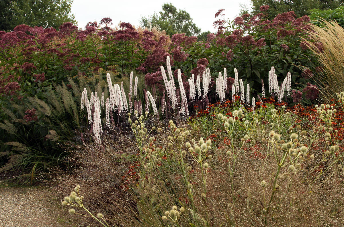 Pensthorpe Millenium Gardens. Сад Миллениум. Дизайнер Пит Удольф