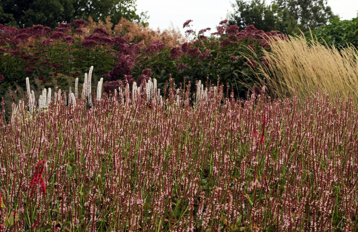 Pensthorpe Millenium Gardens. Сад Миллениум. Дизайнер Пит Удольф