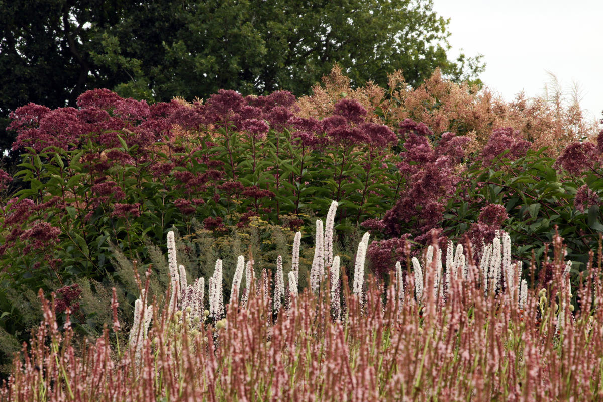 Pensthorpe Millenium Gardens. Сад Миллениум. Дизайнер Пит Удольф