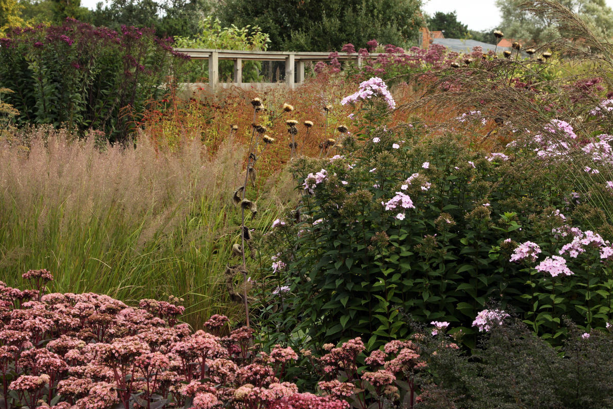 Pensthorpe Millenium Gardens. Сад Миллениум. Дизайнер Пит Удольф