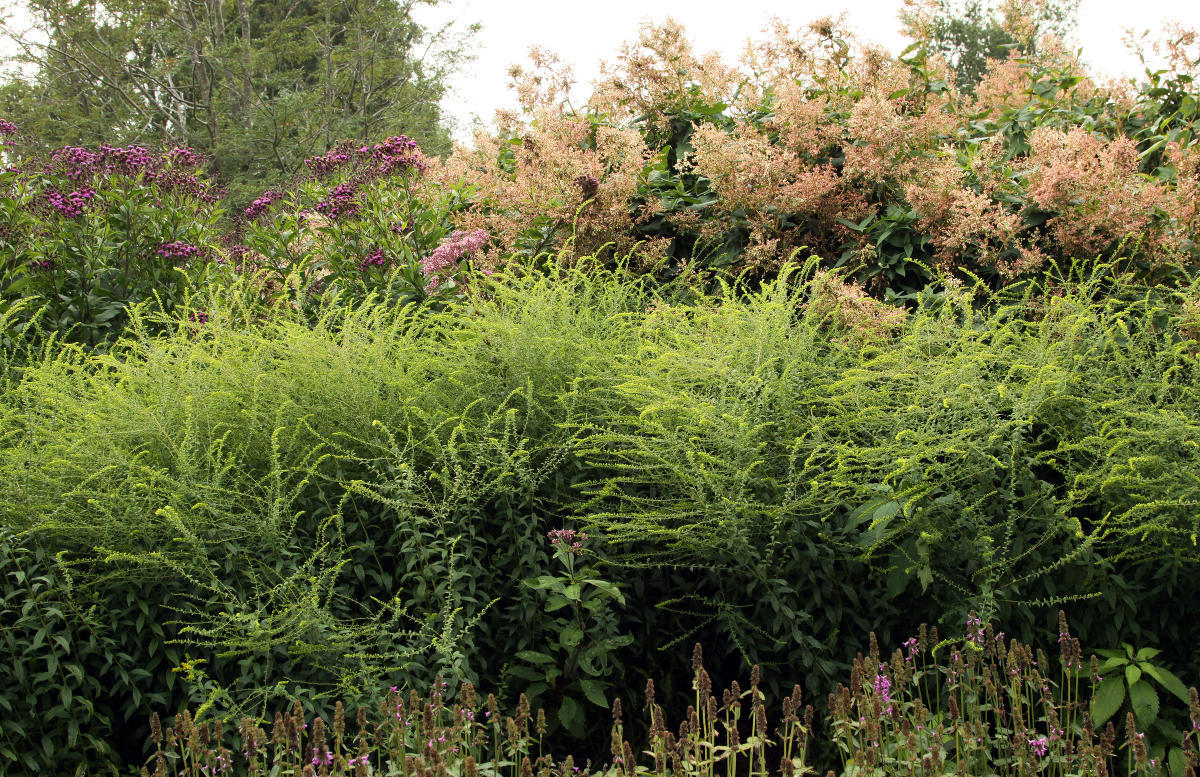 Pensthorpe Millenium Gardens. Сад Миллениум. Дизайнер Пит Удольф