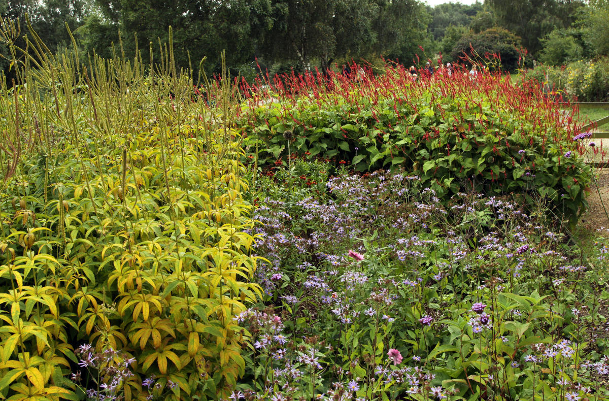 Pensthorpe Millenium Gardens. Сад Миллениум. Дизайнер Пит Удольф