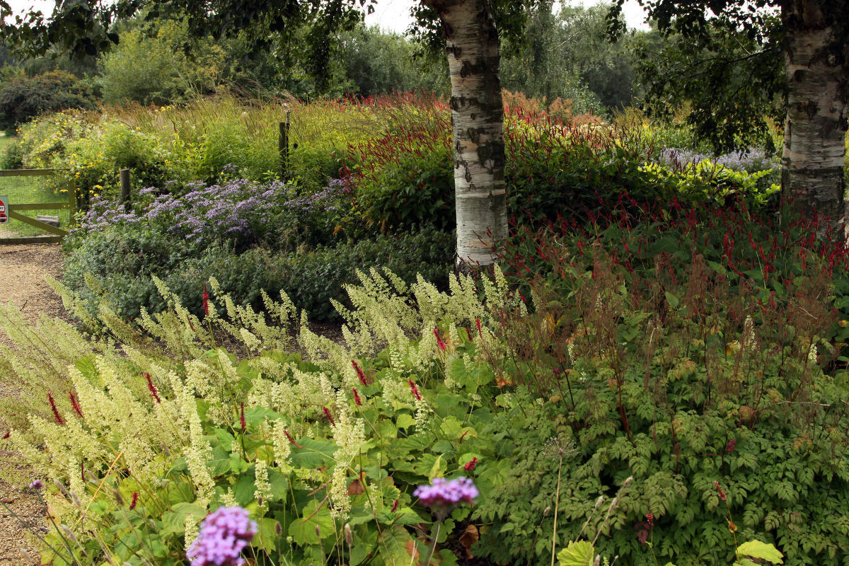 Pensthorpe Millenium Gardens. Сад Миллениум. Дизайнер Пит Удольф