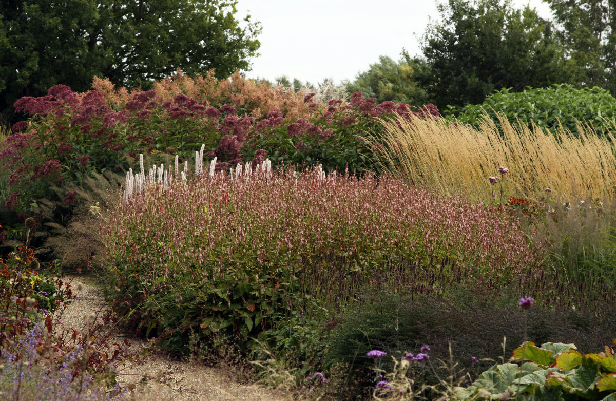 Pensthorpe Millenium Gardens. Сад Миллениум. Дизайнер Пит Удольф