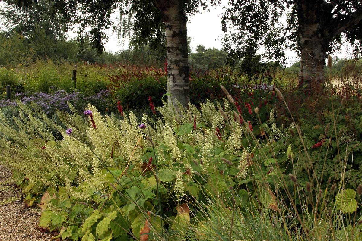 Pensthorpe Millenium Gardens. Сад Миллениум. Дизайнер Пит Удольф