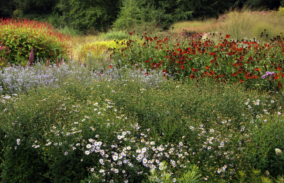 Пит Удольф Pensthorpe Millenium Gardens. Сад Миллениум