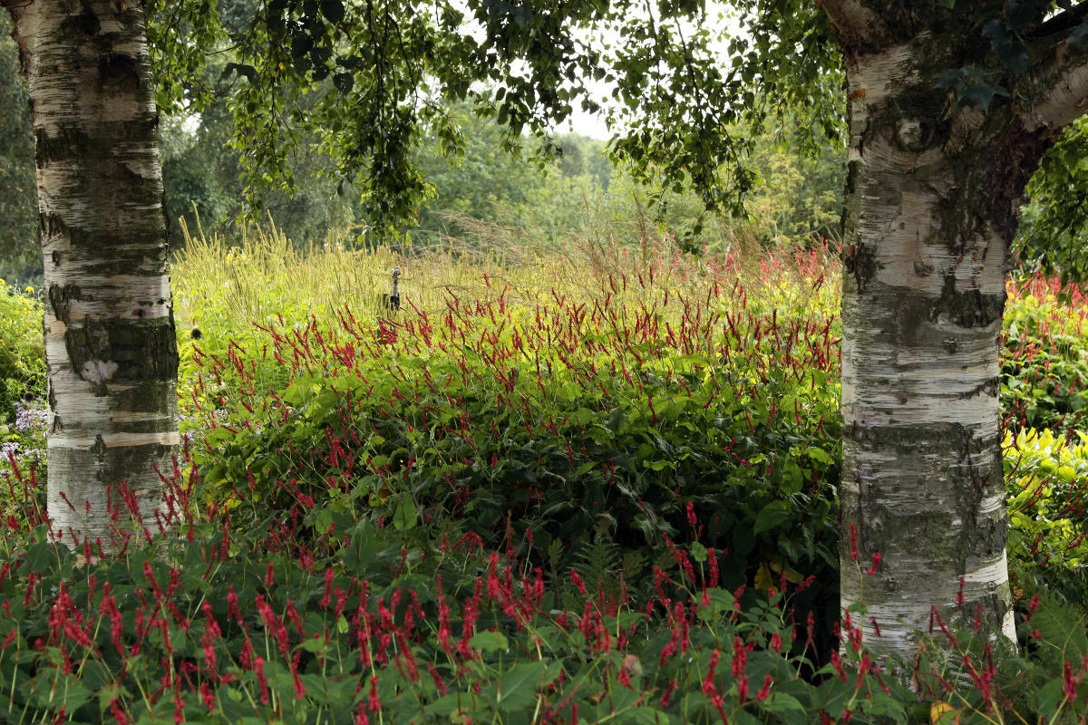 Pensthorpe Millenium Gardens. Сад Миллениум. Дизайнер Пит Удольф