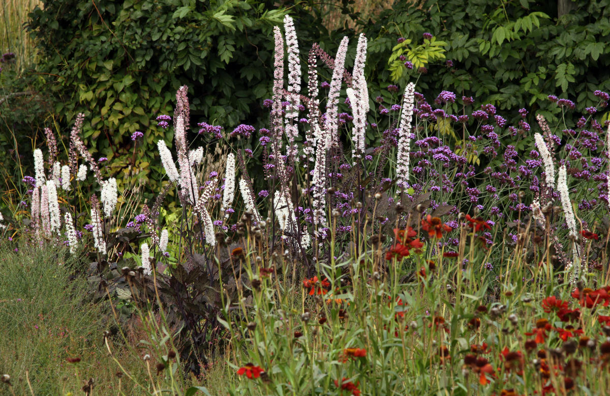 Пит Удольф Pensthorpe Millenium Gardens. Сад Миллениум