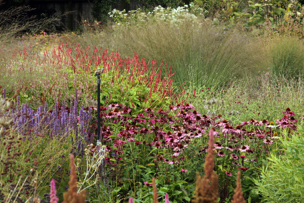 Пит Удольф Pensthorpe Millenium Gardens. Сад Миллениум