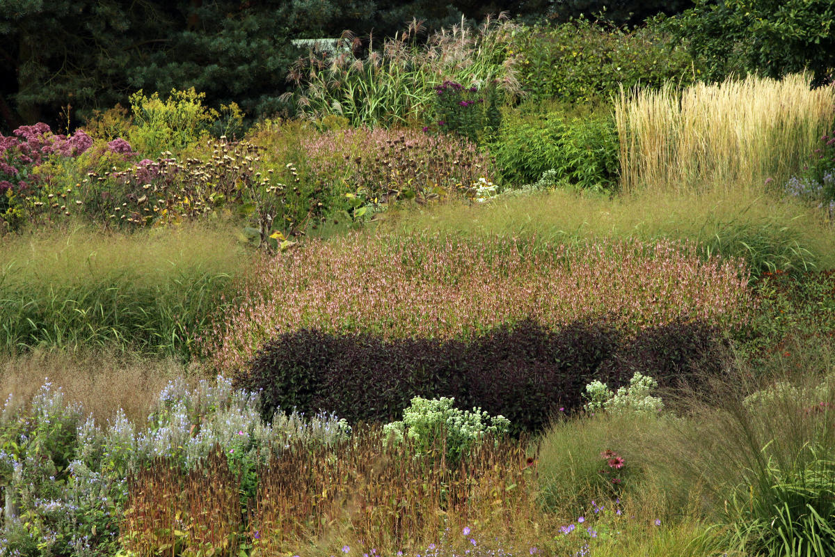 Пит Удольф Pensthorpe Millenium Gardens. Сад Миллениум