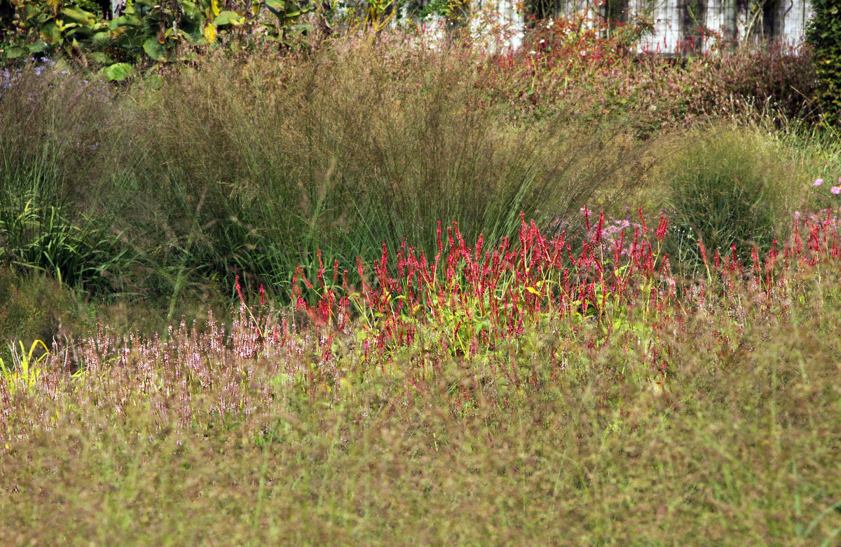 Пит Удольф Pensthorpe Millenium Gardens. Сад Миллениум