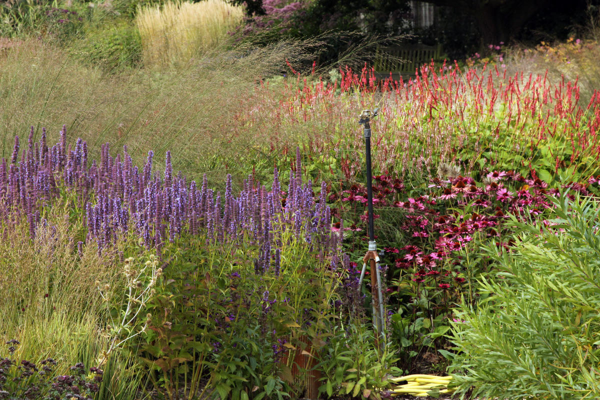 Пит Удольф Pensthorpe Millenium Gardens. Сад Миллениум