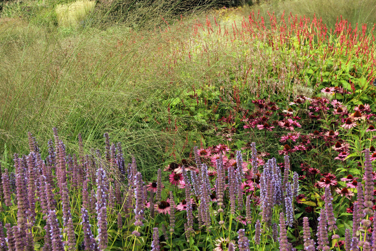 Pensthorpe Millenium Gardens. Сад Миллениум. Дизайнер Пит Удольф