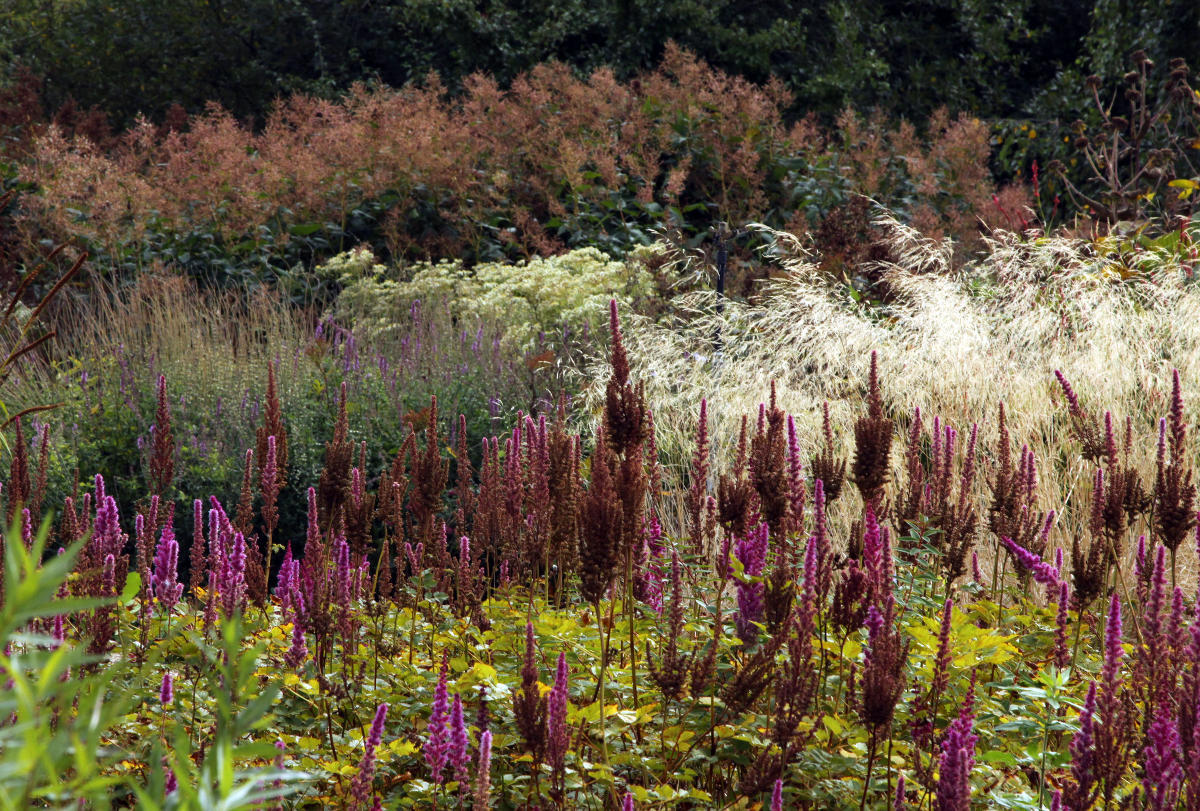 Пит Удольф Pensthorpe Millenium Gardens. Сад Миллениум