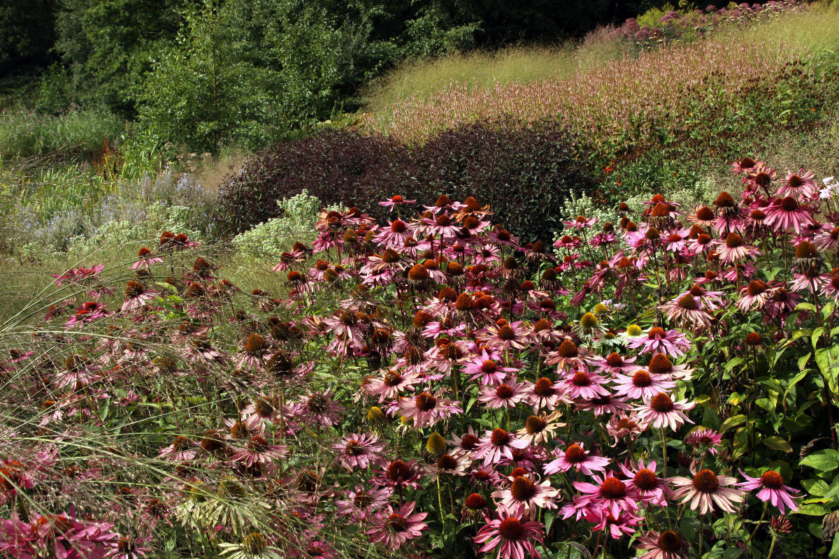 Пит Удольф Pensthorpe Millenium Gardens. Сад Миллениум