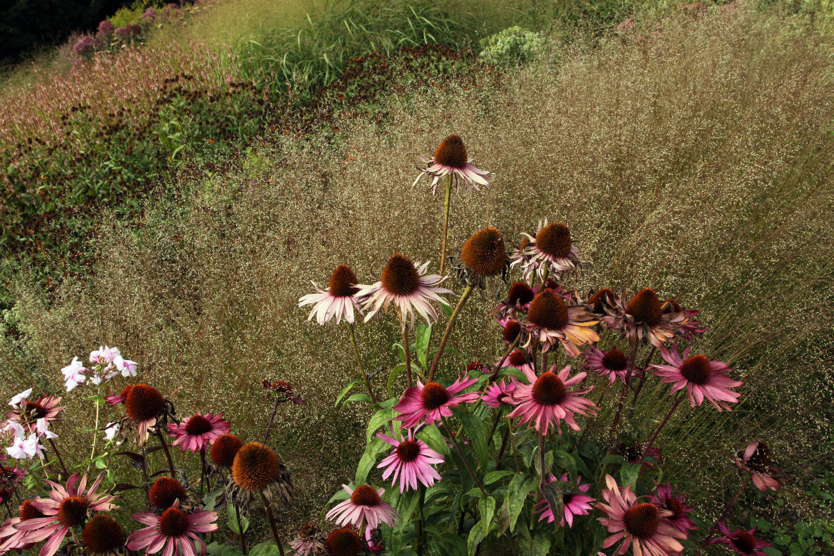 Пит Удольф Pensthorpe Millenium Gardens. Сад Миллениум