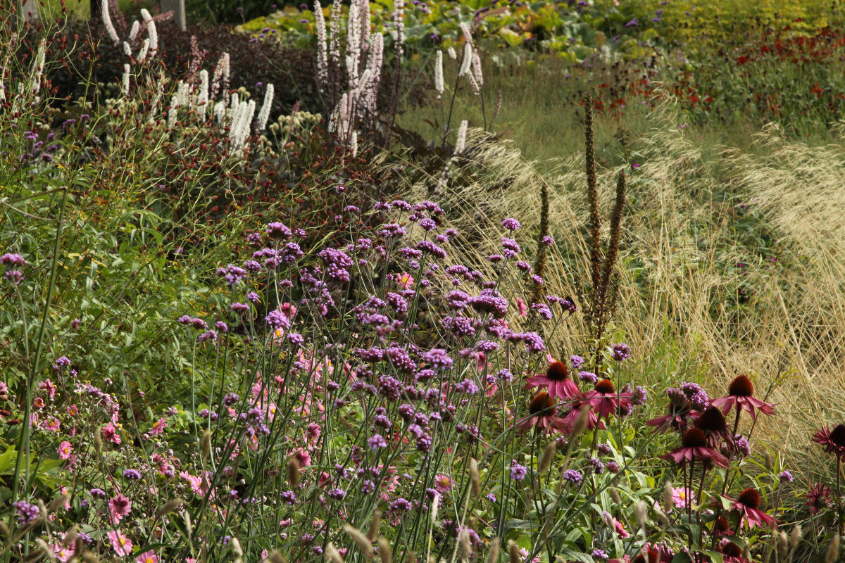 Пит Удольф Pensthorpe Millenium Gardens. Сад Миллениум