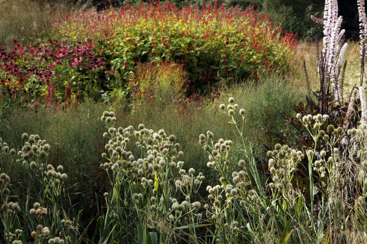 Пит Удольф Pensthorpe Millenium Gardens. Сад Миллениум