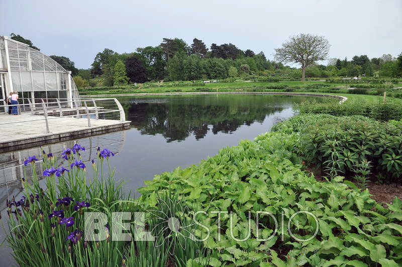 RHS Wisley