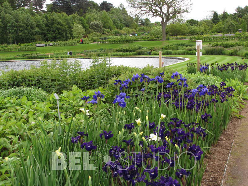 RHS Wisley