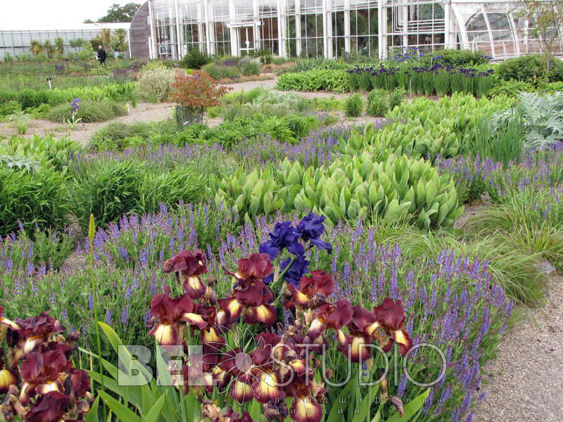 RHS Wisley