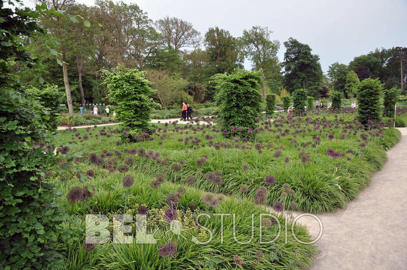 RHS Wisley