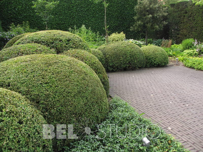 Topiary. Крис Геселен  