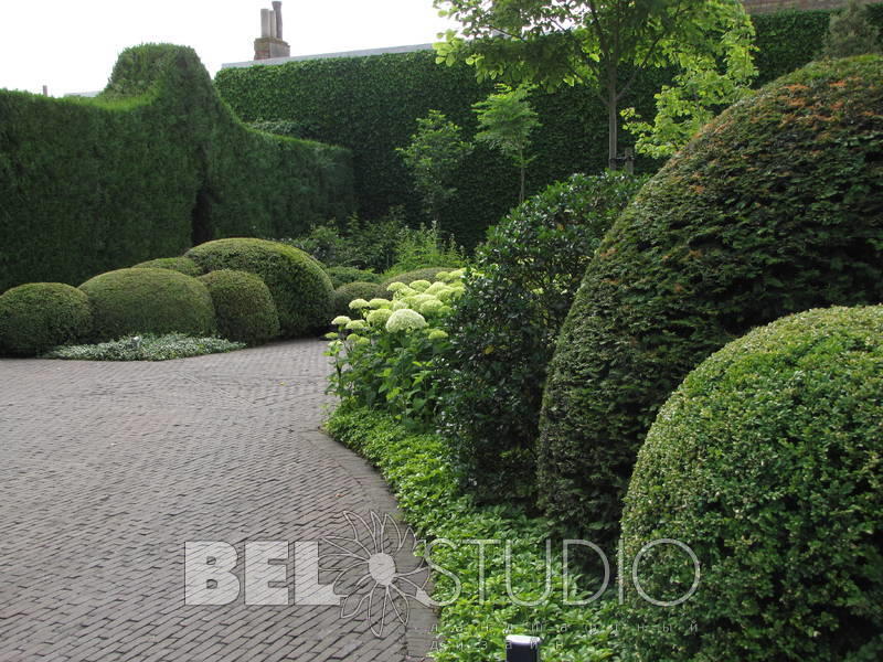 Topiary. Крис Геселен  