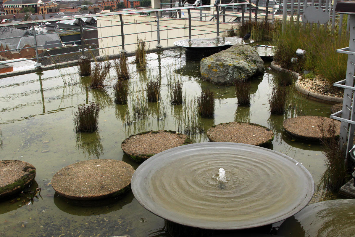 Jellicoe  Roof  Garden