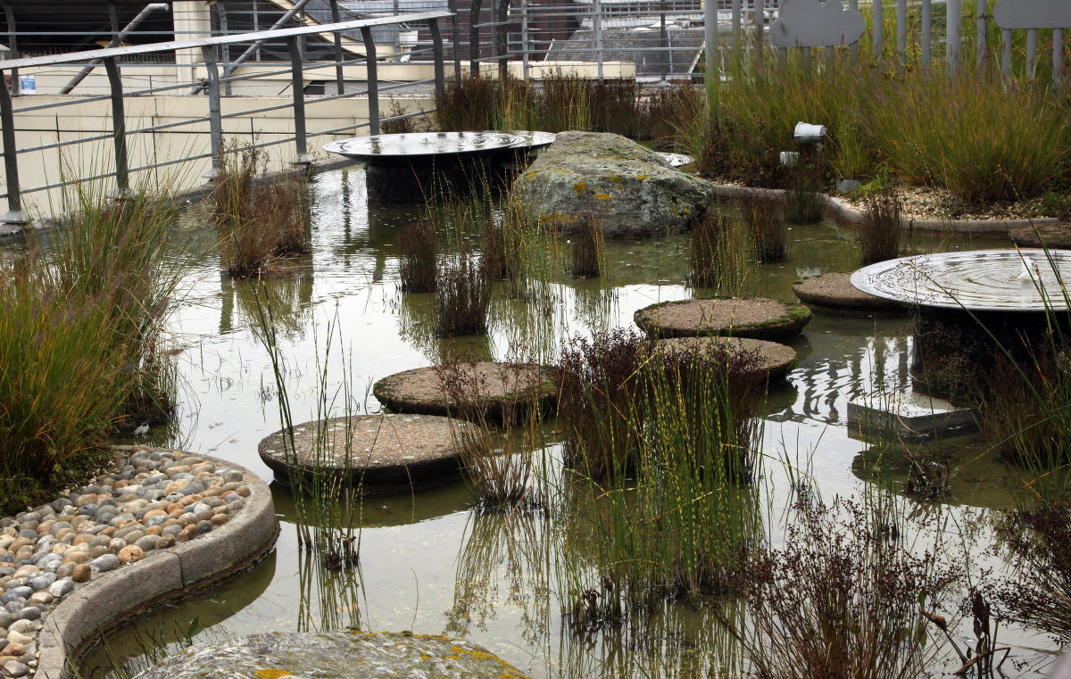 Jellicoe  Roof  Garden